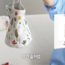 도그앤토이