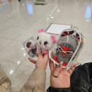 빛나 여행일본어 | 유타가 나에게 오는 건 너무 수동적인듯. 내가 유타에게 간다.