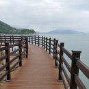모사금 Daum카페