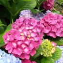 준이농장 이미지