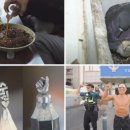 참기름 아저씨 이미지