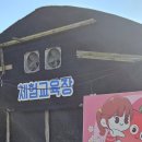 임하농장 | ​[겨울 아이와 가볼만한곳] 춥지 않은 실내 놀이터! 무농약 딸기체험 강력 추천해요