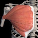 라이브휘트니스(오천점) 이미지