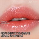 디자인알피그 | 어뮤즈 듀틴트 피그듀 장원영 립 내돈내산 후기 발색사진