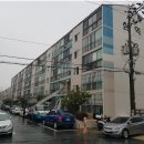 사파동305 이미지