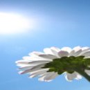 원화로2(서) 이미지