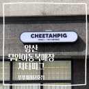 양산2호 | 푸푸파파 2호점 양산무인아동복매장 치타피그 방문후기