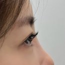 한림프라자 | 속눈썹 연장 전후 비교📸 부천 다율에서 마스카라 연장 솔직후기