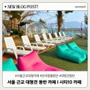한강동물병원 | 서울 근교 반려동물 동반카페🐶 : 시티 10 카페 / 대형견 동반 카페 + 강아지 멀미약 처방 후기