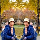 서울숲11 이미지