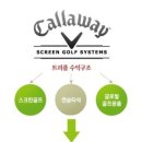 캘러스크린골프 네이버블로그