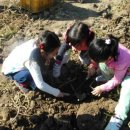 흙과 나무 이미지