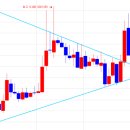 에이치엔바이오텍 이미지