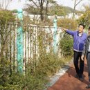 팔달육교 이미지