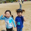 곤지암 한솔유치원 이미지