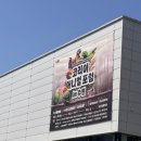 마카오 PC | 2026 코리아 애니멀 포럼 in 수원 파충류 박람회 주말 방문 후기