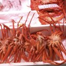 홈할인마트 이미지