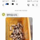 신미농산