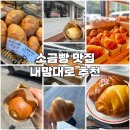 지올 | 내 마음대로 전국 소금빵 존맛집 리스트업 정리 빵지순례