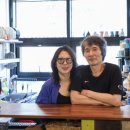 안목당구클럽 이미지