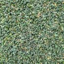 백사체육공원 | 신둔체육공원/백사체육공원 축구장 인조잔디 유지관리 후기