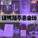 새벽제주혼술바 이미지