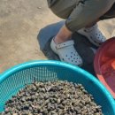 배가정원민박 이미지