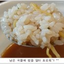 맘마 Daum카페