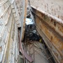 삼순이비어 이미지