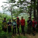 백두그린 이미지