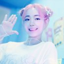 다인비디오 이미지