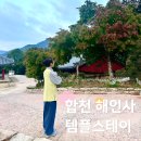 과학으로 만든 역사문화유산 | 무교인이 다녀온 합천 해인사 주말 체험형 템플스테이 후기 (방소개부터 총평까지!:)