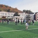 고흥읍 학교길 이미지