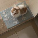 봉곡로-12 이미지