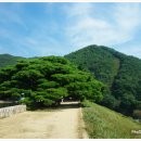 법기수원지 이미지