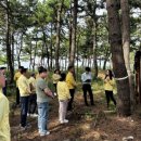 자은도에서 이미지