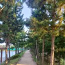 3·15 해양누리공원 게이트볼장 | [블챌] 운동을 합시댜