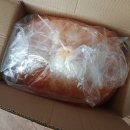 일번 | 중국산김치 대용량 가성비 업소용 일번김치 10kg 후기