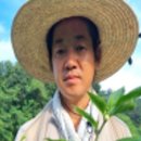 자라는 씨앗-기다림 네이버블로그