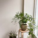 백현로150번길 이미지