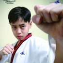 삼성유아태권도 이미지