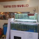 올바른스시 | [화곡역 맛집] 깔끔! 친절! 화곡역 근처 찐맛 초밥집 올바른 스시 다녀온 후기~