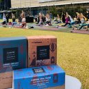 청춘 요가 이미지