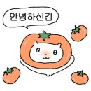 머슬원핏 이미지