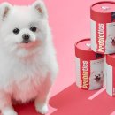 마이펫30(My Pet 30)) 이미지
