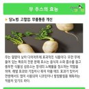 무주스 효능과 집에서 간단히 만드는 법 이미지