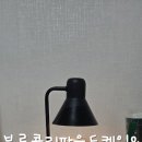브로우유 티스토리