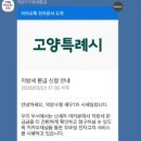 카카오지방세