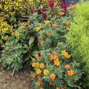 금산1구 이미지