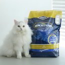 모래 | 고양이 화장실 냄새 고민 끝내준 아메리칸솔루션 그랜드마스터 벤토나이트 모래 후기